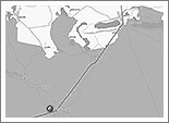 opcja1